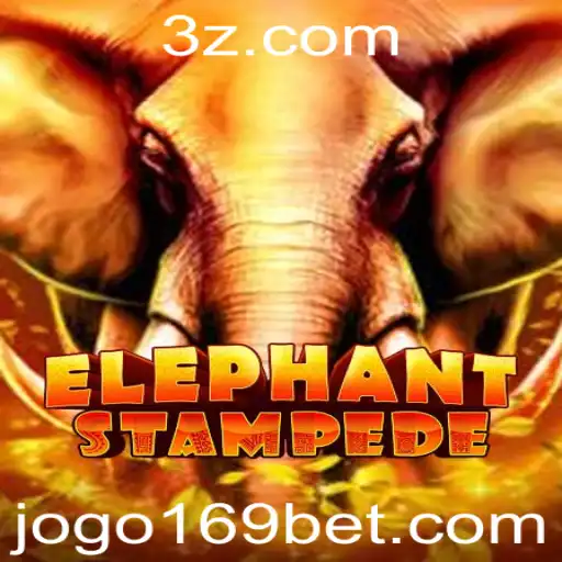169 bet Casino App